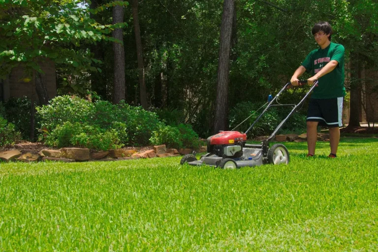 Questions Residents Have About Lawn Care