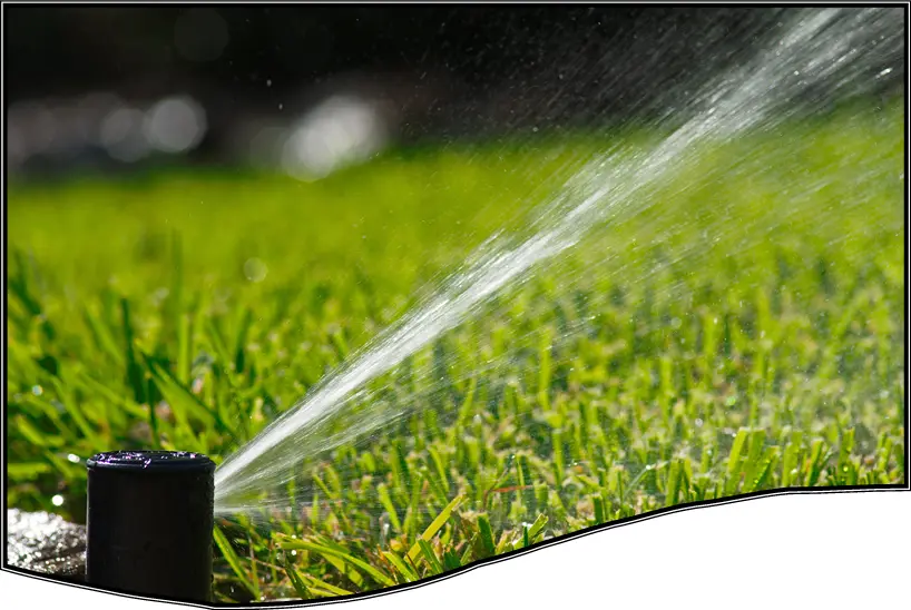 Watering Lawns In Fall And Winter