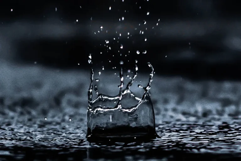 Make Your Lawn A Giant Rainwater Harvesting System