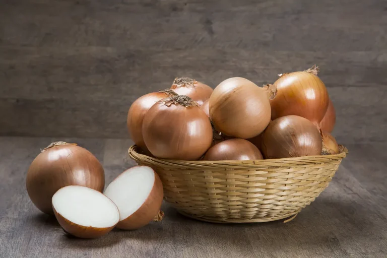 Onions - Good For The Body, Good For The Soul