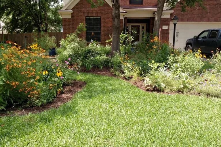 Your Lawn Loves Low Nitrogen Fertilizer