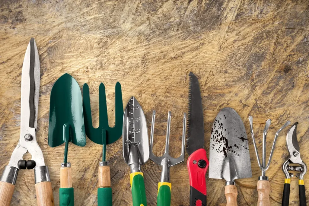 Set of lawn tools