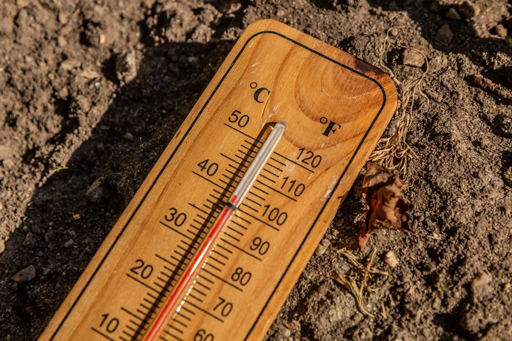 Thermometer on dirt