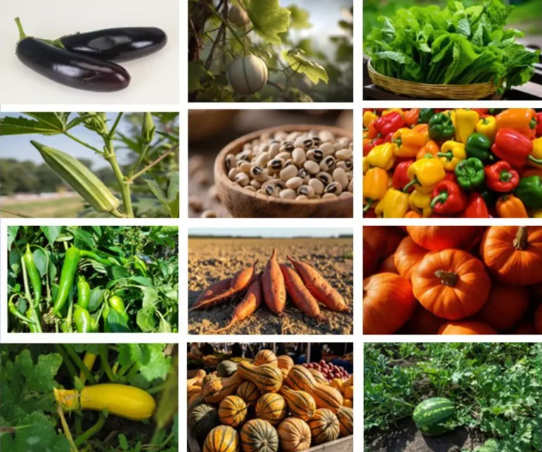 Fruits and vegetables